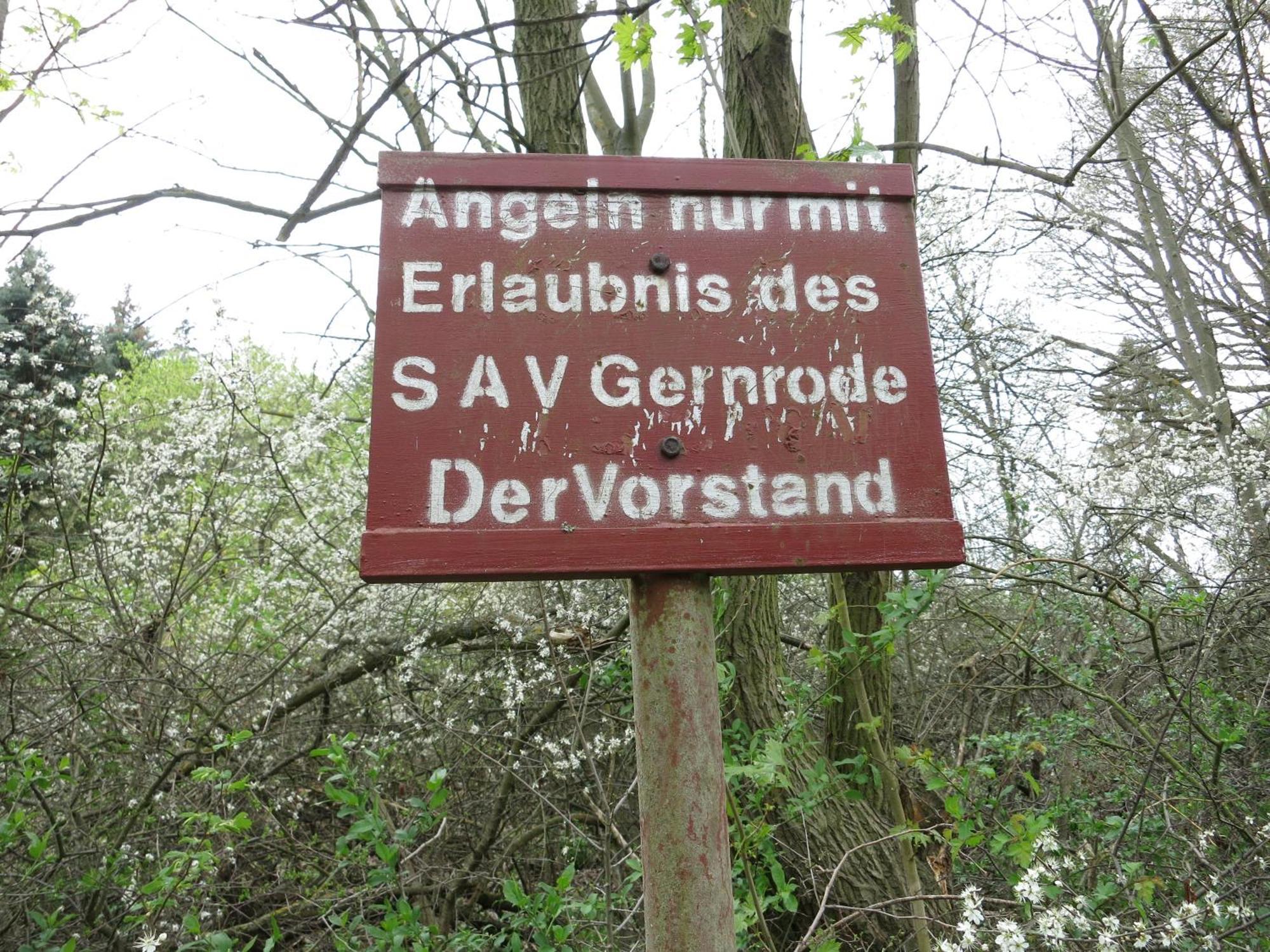 Bungalow Am Osterteich Gernrode  Zewnętrze zdjęcie