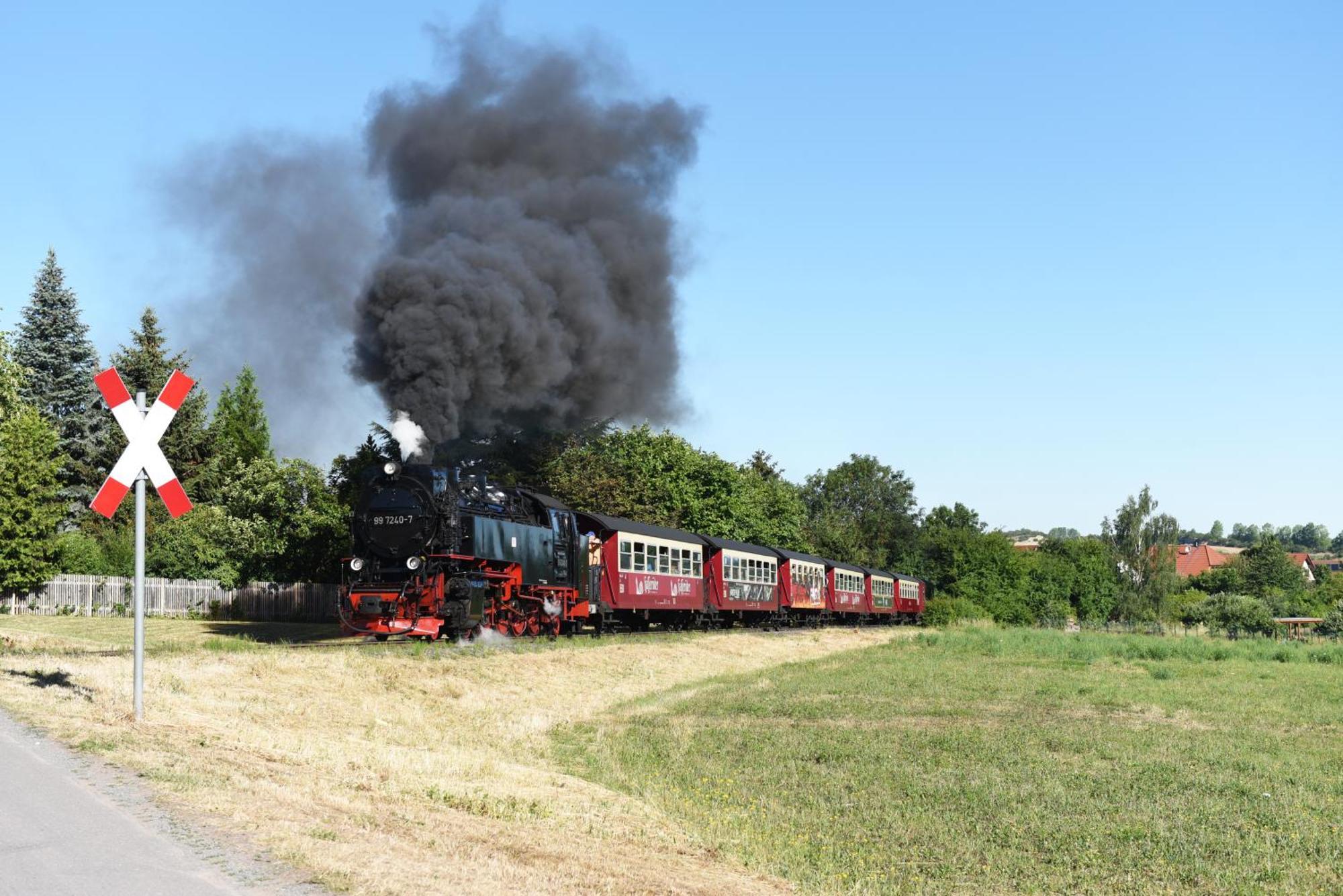 Bungalow Am Osterteich Gernrode  Zewnętrze zdjęcie